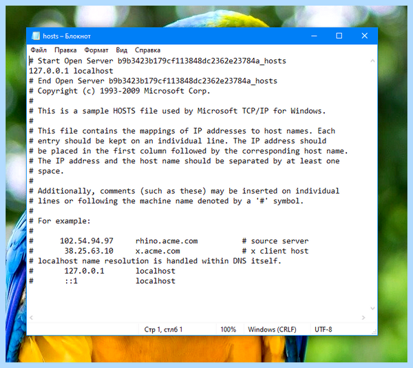 Host файл windows 10 путь