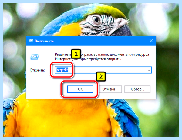 Host файл windows 10 путь