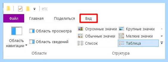 Host в windows 10