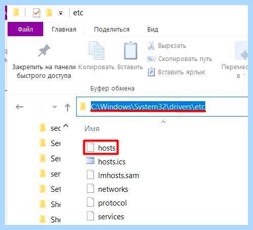Host в windows 10
