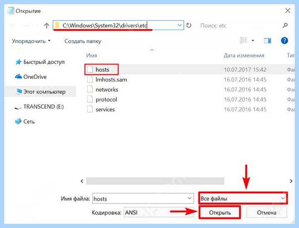 Host win 10