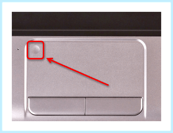 Hp 15 dw1045ur не работает тачпад