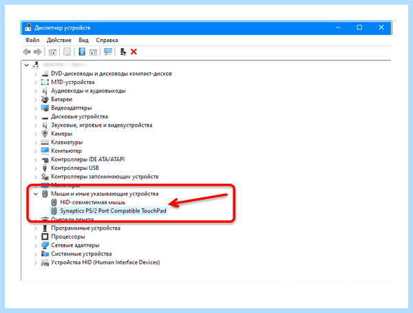 Hp 15 dw1045ur не работает тачпад