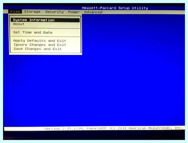 Hp setup utility