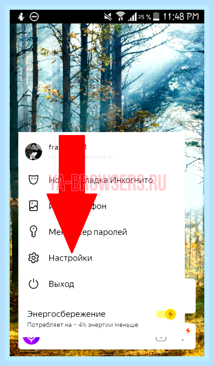 Включить адблок на яндекс