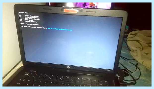 Www hp com go techcenter startup
