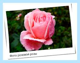 Www imgonline com ua