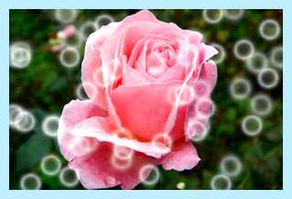 Www imgonline com