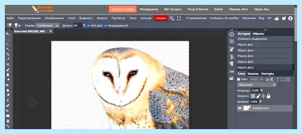 Www imgonline com (imgonline, загрузки изображения, вырезания объекта, вырезания объектов) Www imgonline com