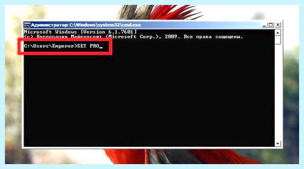 X64 или x32