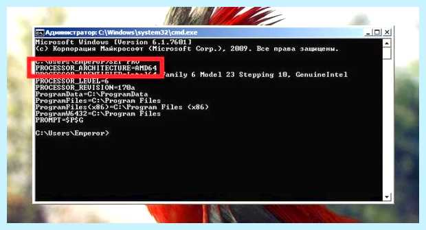 X64 или x32