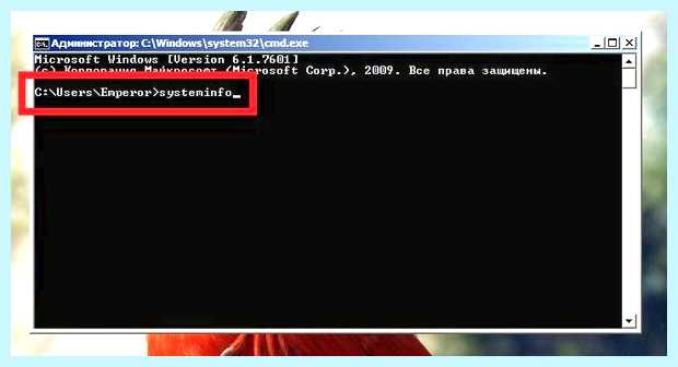 X64 или x32