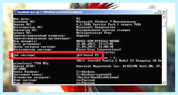 X64 или x32