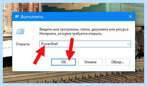 Xbox что это за программа