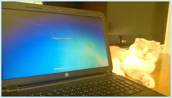 Hp установка с флешки