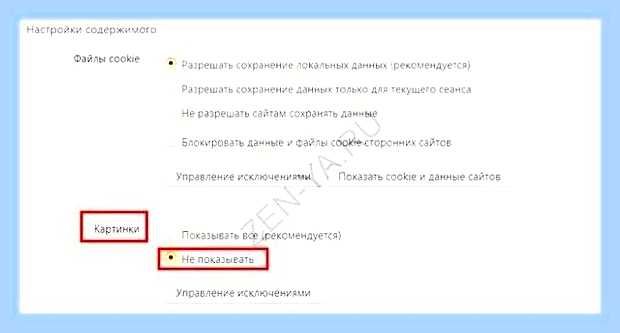 Включить новости дзен