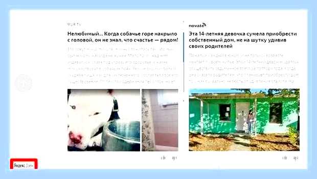 Включить новости дзен