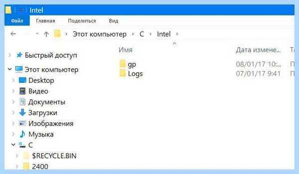 Intel что за папка