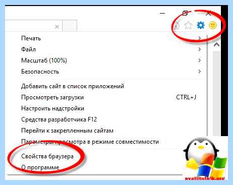 Internet explorer где лежит (internet, explorer, лежать, Internet Explorer, Microsoft Edge) Internet explorer где лежит