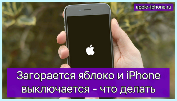 Iphone мигает яблоко и не включается