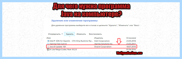 Java setup что это