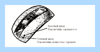 Jfp1 на материнской плате что это (jfp1, материнский, плат, материнской плате, передней панели, системного блока) Jfp1 на материнской плате что это