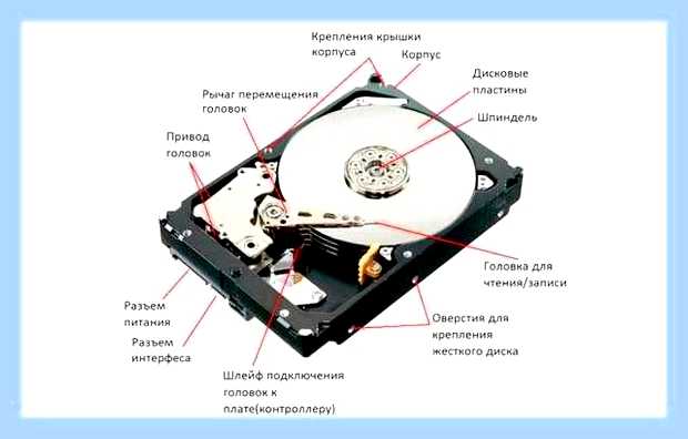 Внешний жесткий диск щелкает и не определяется