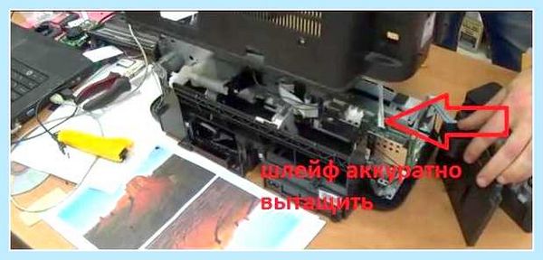L800 замена памперса (l800, замена, памперса, сервисный центр, уровень чернил, печатающего устройства) L800 замена памперса