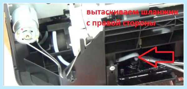 L800 замена памперса (l800, замена, памперса, сервисный центр, уровень чернил, печатающего устройства) L800 замена памперса