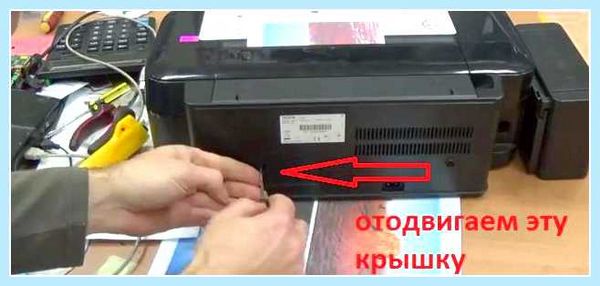 L800 замена памперса (l800, замена, памперса, сервисный центр, уровень чернил, печатающего устройства) L800 замена памперса