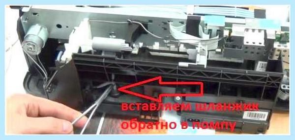 L800 замена памперса (l800, замена, памперса, сервисный центр, уровень чернил, печатающего устройства) L800 замена памперса