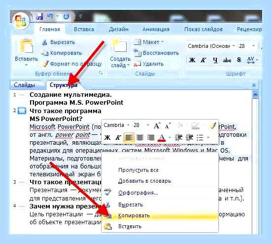Ворд как выделить весь текст