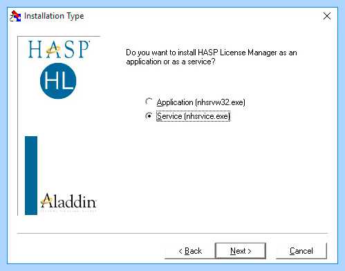 License manager что это