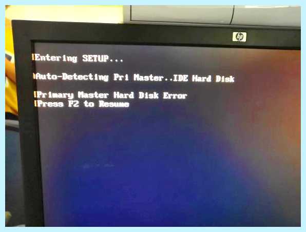 Master disk error