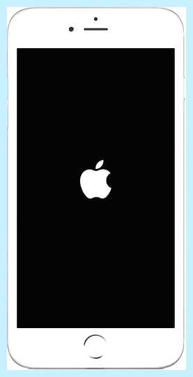 Айфон 5s не включается горит яблоко