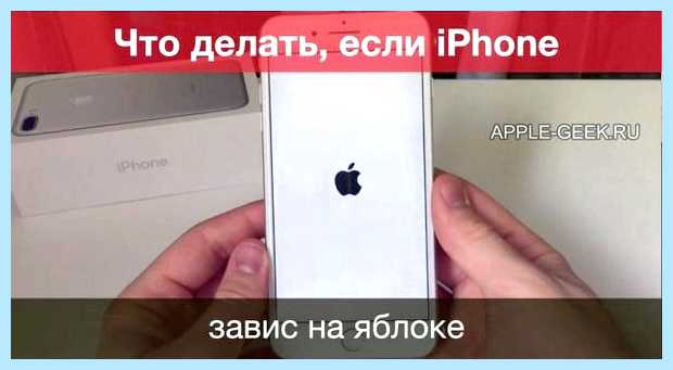 Айфон 7 горит яблоко и не включается