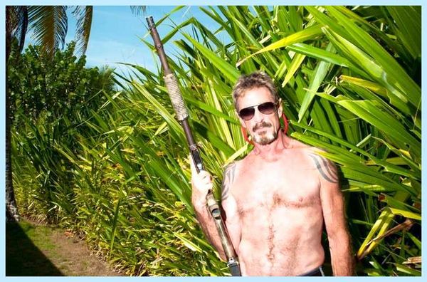 Mcafee что такое (mcafee, автоматического продления, Intel Security, информация акции, Total Protection, вредоносных программ) Mcafee что такое