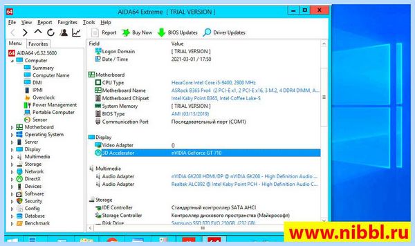 Microsoft basic display driver (microsoft, basic, display, driver, Microsoft Basic, Basic Display) Microsoft basic display driver