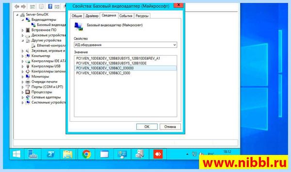 Microsoft basic display driver (microsoft, basic, display, driver, Microsoft Basic, Basic Display) Microsoft basic display driver