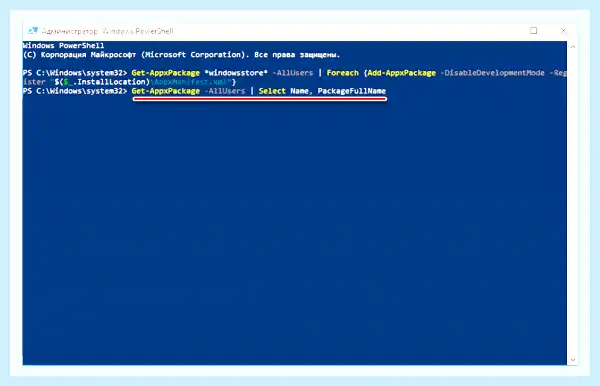 Microsoft store app (microsoft, store, Microsoft Store, Store Windows) Microsoft store app