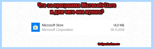 Microsoft store что это