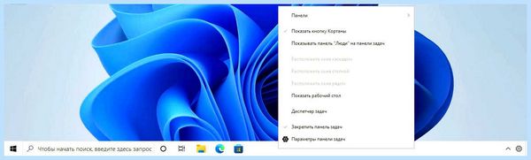 Microsoft windows search cw5n1h2txyewy
