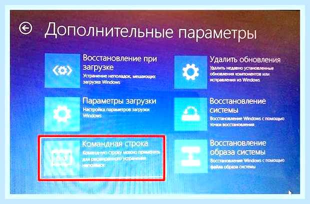 Восстановление загрузчика через командную строку () Восстановление загрузчика через командную строку