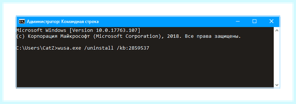 0xc0000005 windows 10