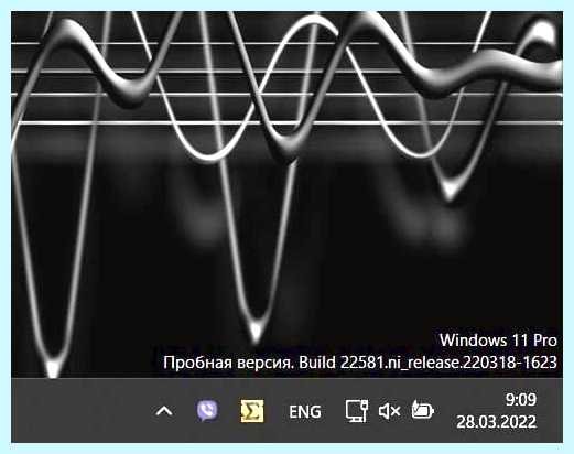 Microsoft windows store (microsoft, windows, store, Microsoft Store, 2022 Posted, 2022 Posted softadmin) Microsoft windows store