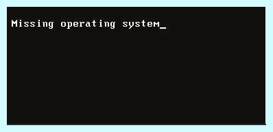 Operating system is missing