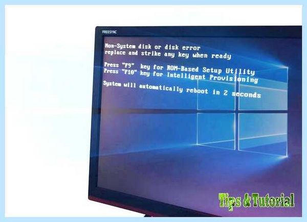 No system disk (system, disk, disk disk, disk error replace, error replace) No system disk
