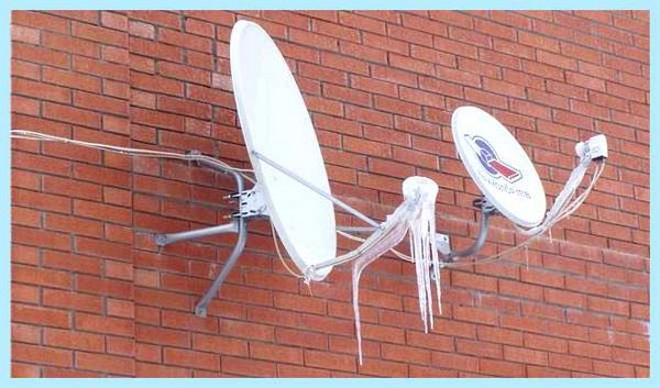 No video signal