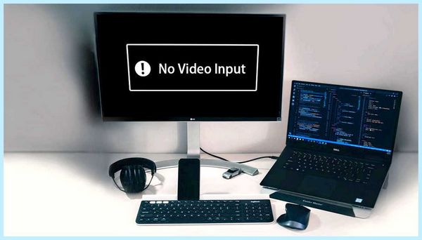 Not video input (video, input, your computer, your monitor, video cable, power button) Not video input