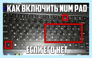 Num 1 что это (клавиша Numpad, правой части, части клавиатуры, NUMPAD клавиша) Num 1 что это